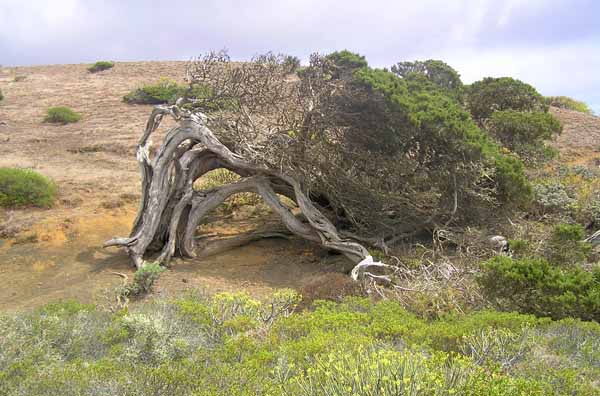 El salvaje clima ha dejado sus huellas en la isla