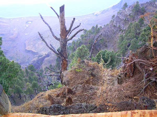 El Mirador de Las Playas