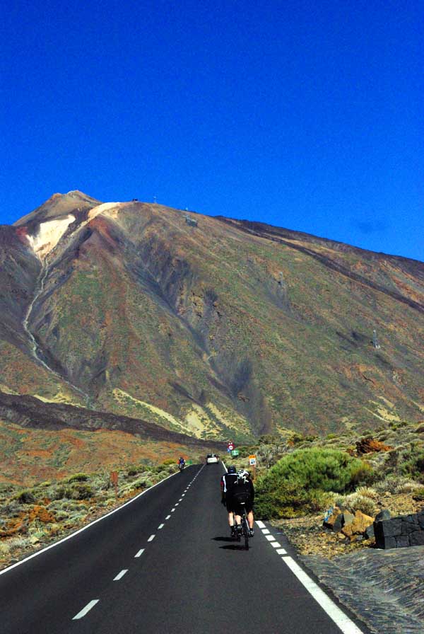 La excursión ofrece una gran variedad de vistas . .  