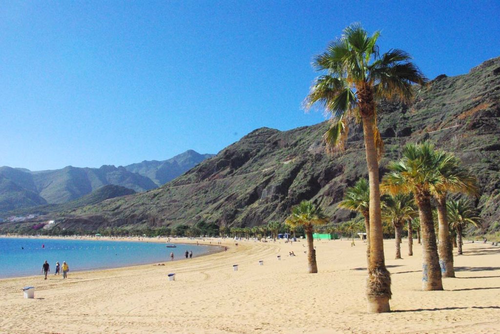 La larga playa está bordeada de palmeras 