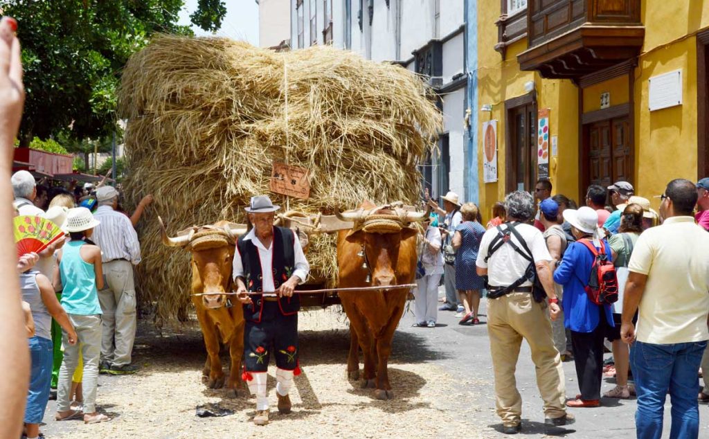 Las grandes carretas de pajas son señal típica de la Romería en honor a San Benito 