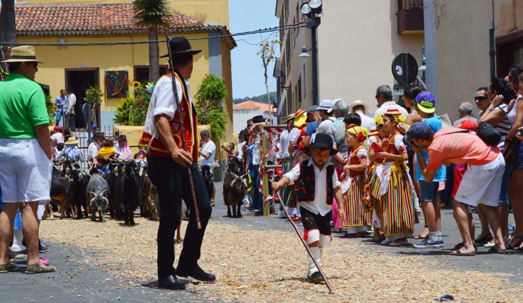 Incluso a los más pequeños les encanta participar en el desfile por el casco histórico lagunero (2015) 